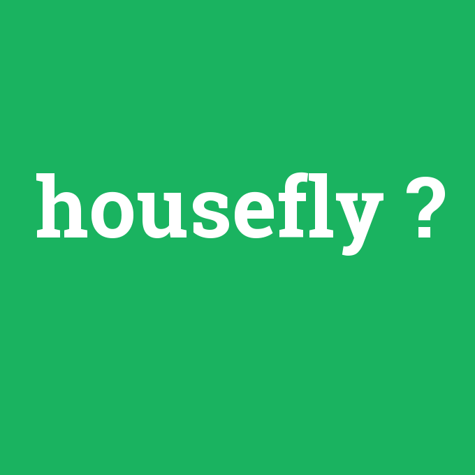 housefly, housefly nedir ,housefly ne demek