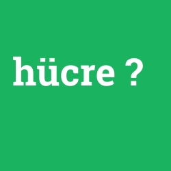 hücre