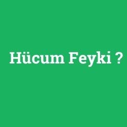 Hücum Feyki