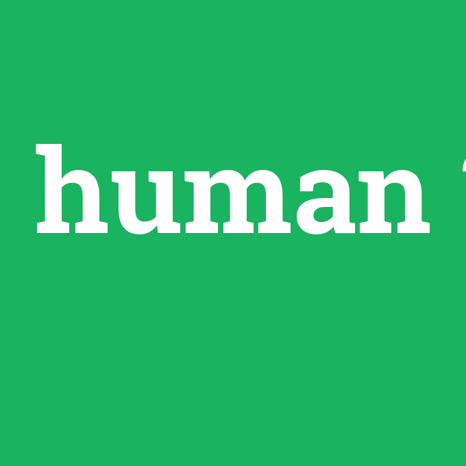 human, human nedir ,human ne demek