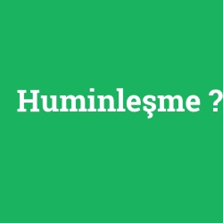 Huminleşme