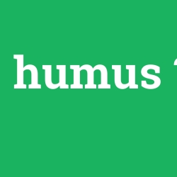 hümüs