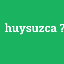 huysuzca