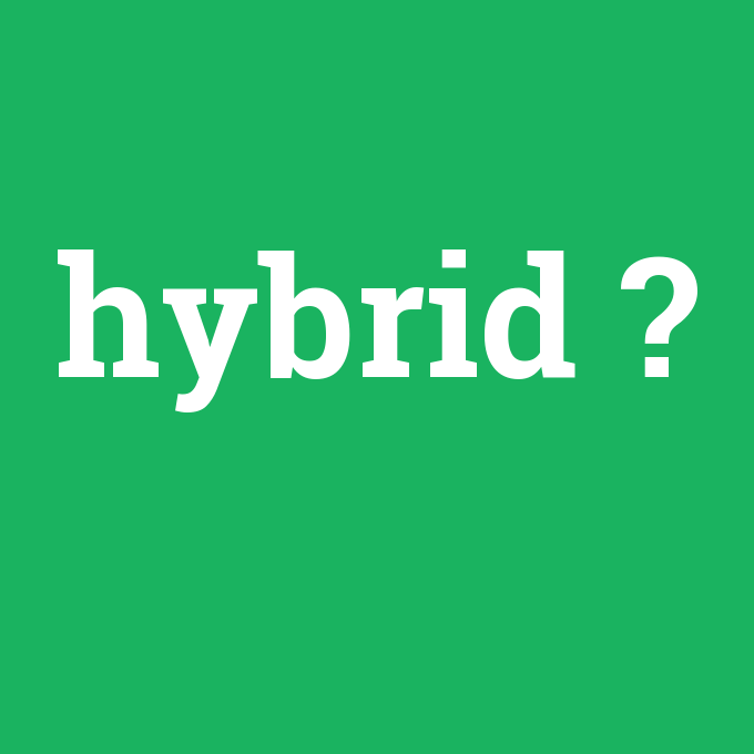 hybrid, hybrid nedir ,hybrid ne demek