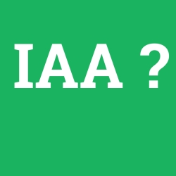 IAA foto galeri