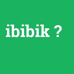 ibibik foto galeri