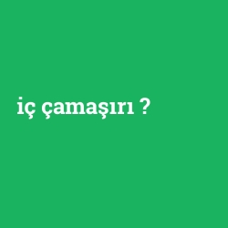 iç çamaşırı