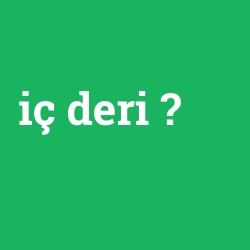 iç deri