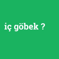 iç göbek