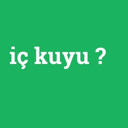 iç kuyu