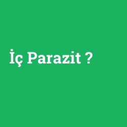 İç Parazit
