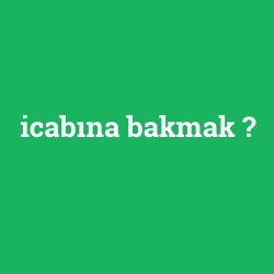 icabına bakmak