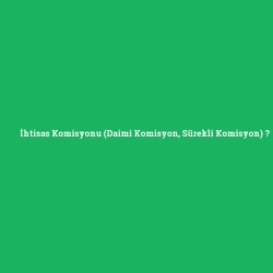 İhtisas Komisyonu (Daimi Komisyon, Sürekli Komisyon)