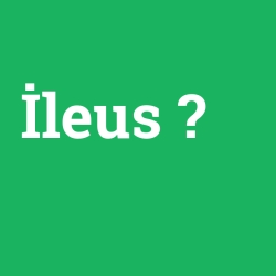 İleus