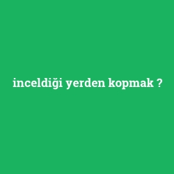 inceldiği yerden kopmak