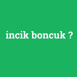 incik boncuk