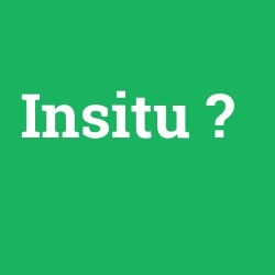 Insitu