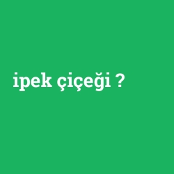 ipek çiçeği