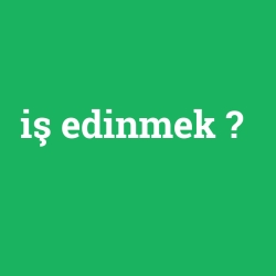 iş edinmek