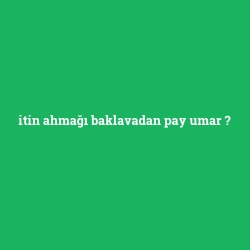 itin ahmağı baklavadan pay umar