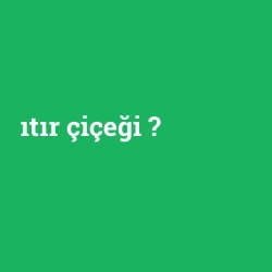 ıtır çiçeği