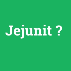 Jejunit