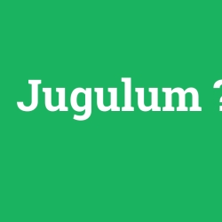 Jugulum