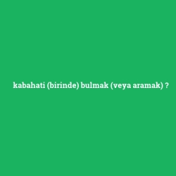 kabahati (birinde) bulmak (veya aramak)