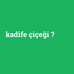 kadife çiçeği