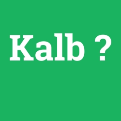 Kalb foto galeri