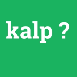 kalp