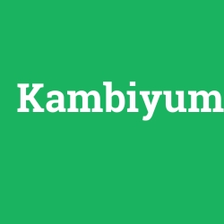 Kambiyum