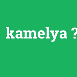 kamelya