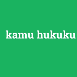 kamu hukuku