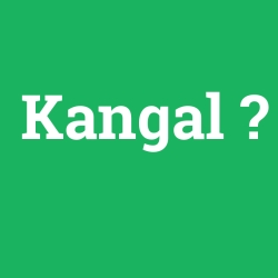 Kangal foto galeri