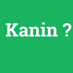 Kanin