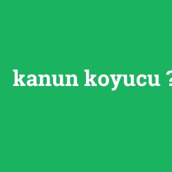 kanun koyucu