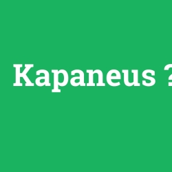 Kapaneus