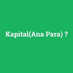 Kapital(Ana Para)