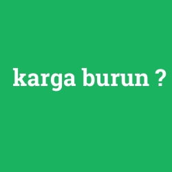 karga burun