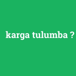 karga tulumba