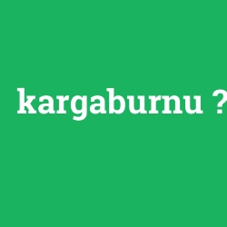 kargaburnu