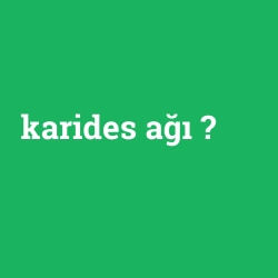 karides ağı