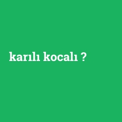 karılı kocalı