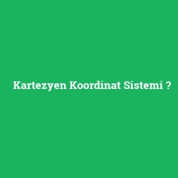 Kartezyen Koordinat Sistemi