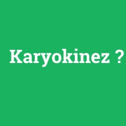 Karyokinez