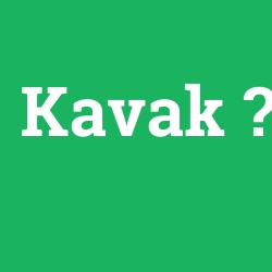 Kavak