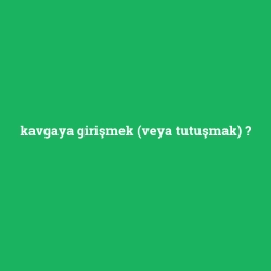 kavgaya girişmek (veya tutuşmak)