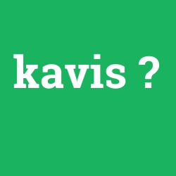 kavis