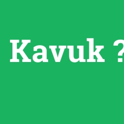 Kavuk
